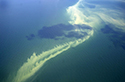 Algal blooms